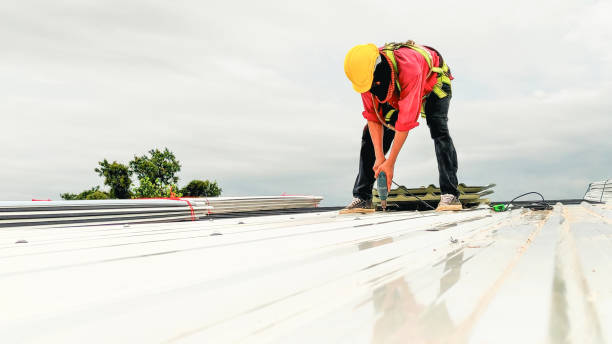 Best Roof Moss and Algae Removal  in Cedar Grove, WI