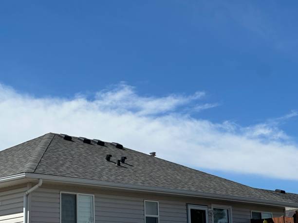 Best Commercial Roofing Services  in Cedar Grove, WI